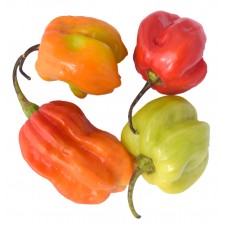 Scotch Bonnet Peppers Case