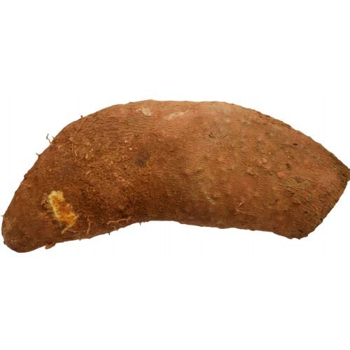 Jamaican Yellow Yam Case